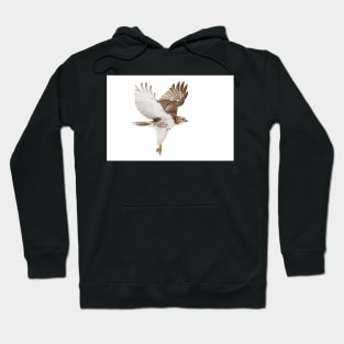 Red-tailed Hawk Hoodie